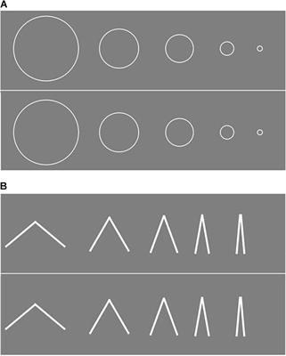 Coarse to Fine Audio-Visual Size Correspondences Develop During Primary School Age